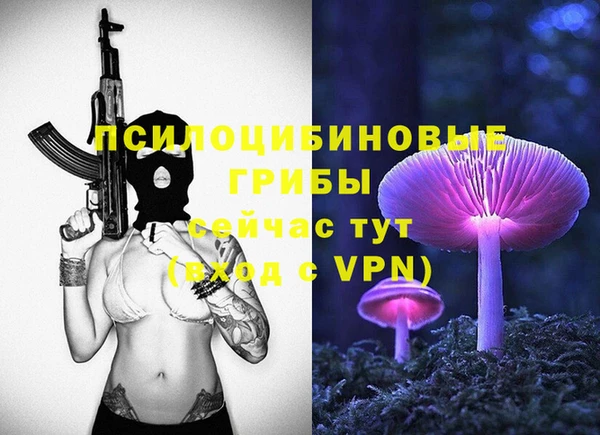 Альфа ПВП Богородицк