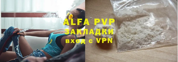 сатива Богданович