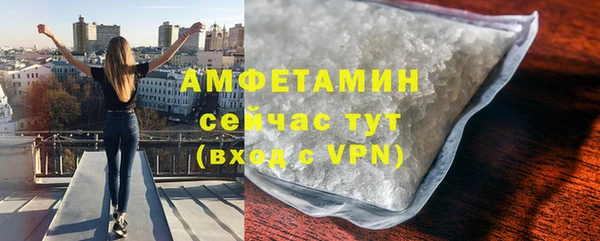 сатива Богданович