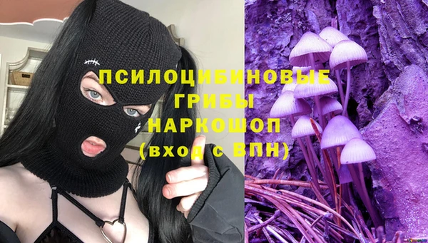 Альфа ПВП Богородицк