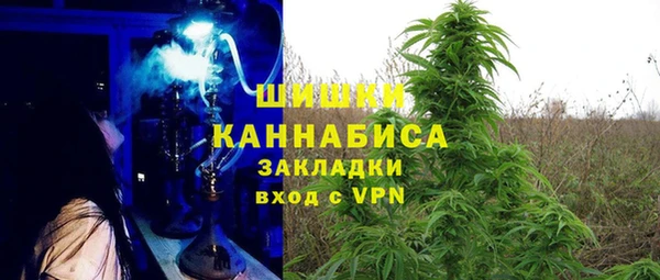 сатива Богданович