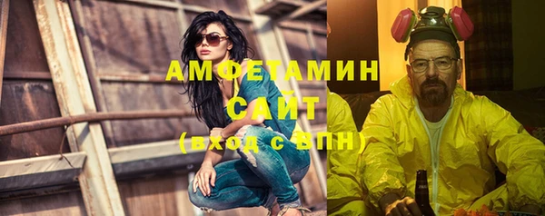 сатива Богданович